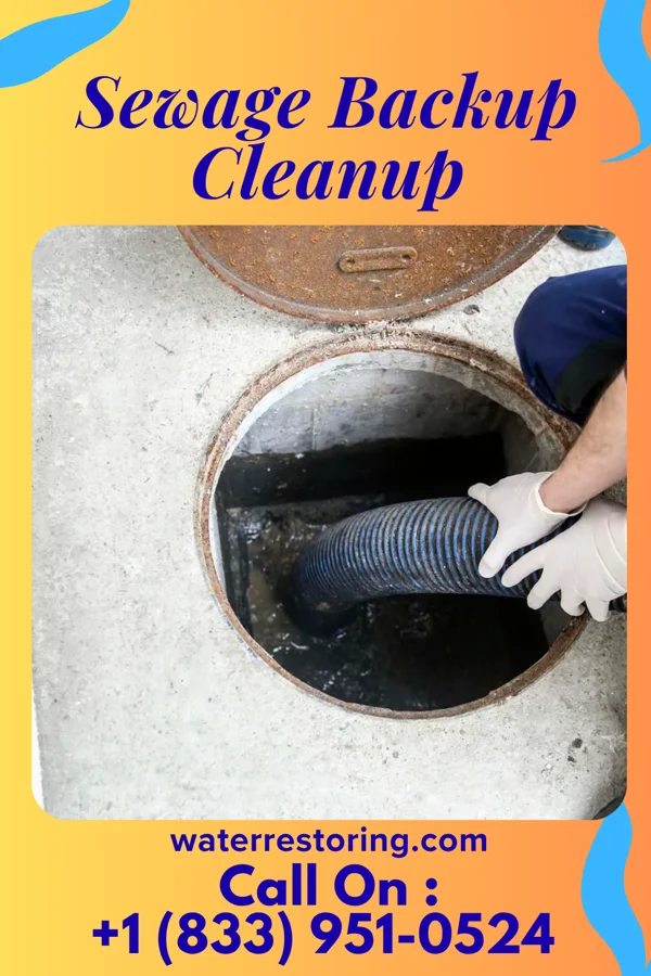 Sewage Backup Cleanup in Reeves, LA