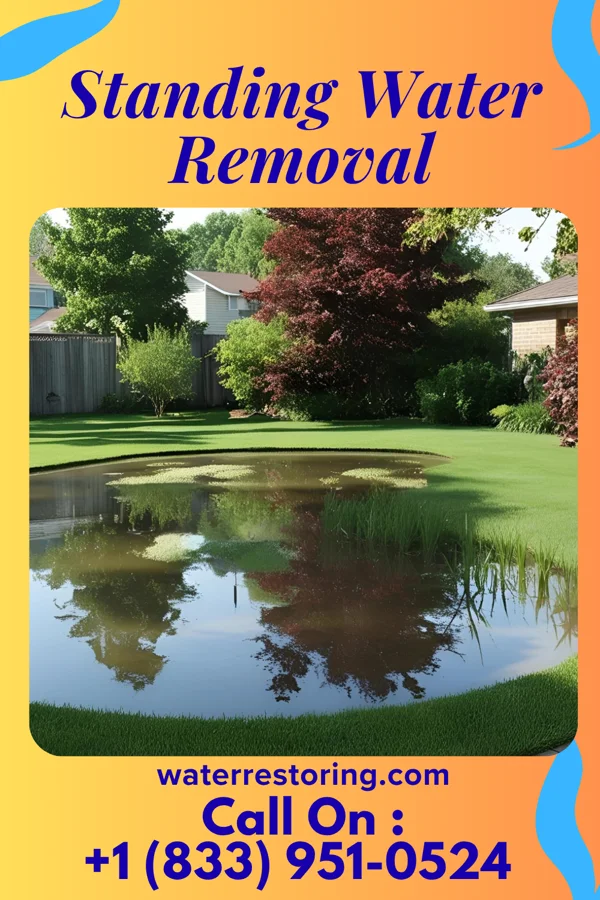 Standing Water Removal in Reeves, LA